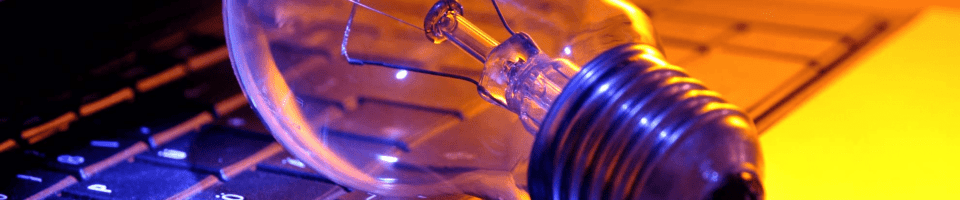 bulb bg fox 960x200