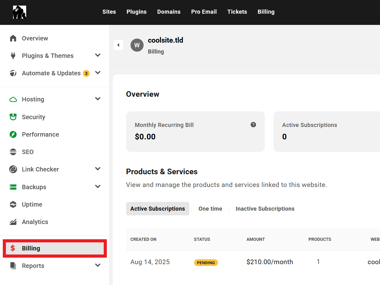 Client view of Billing tab in a site in your client portal