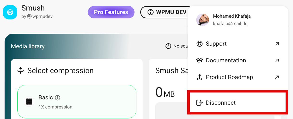 Profile menu with Disconnect option