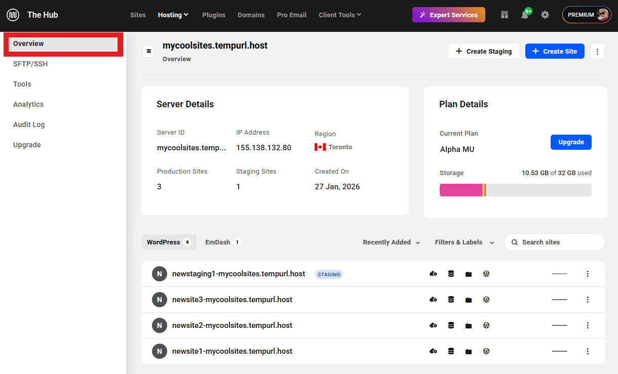 Unlimited Hosting server overview screen